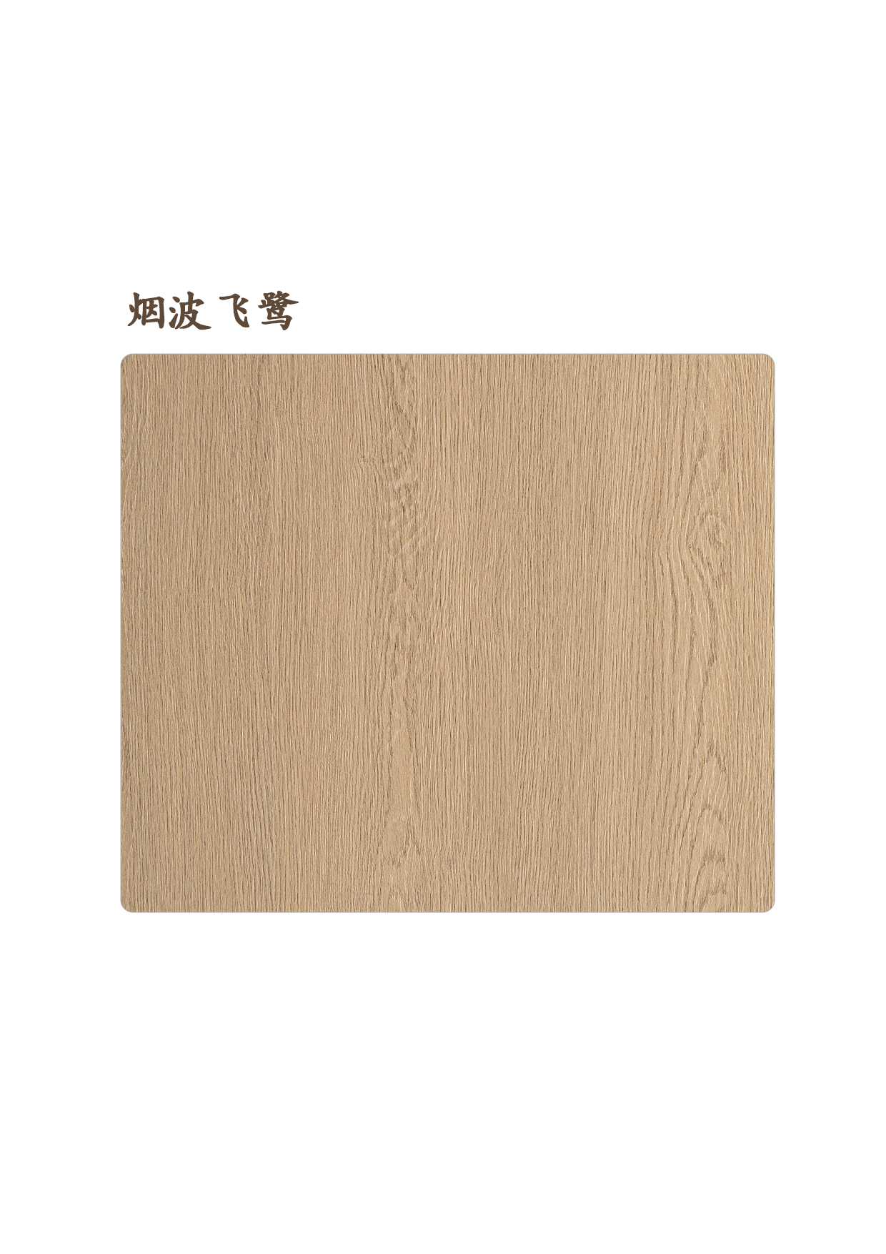 5煙波飛鷺A.jpg